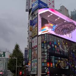 Die sind doch echt crazy