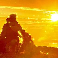 Alles in Gold getaucht