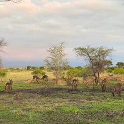 vor unserem Balkon..