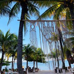 The Caribbean vibe