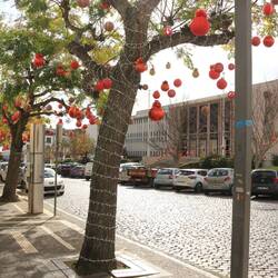 Oh, es ist wieder Weihnachten