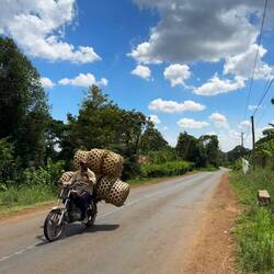 Lastentransport auf afrikanisch