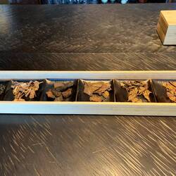 The bark is is 2nd from the left