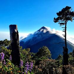 Fuego - what a view tho