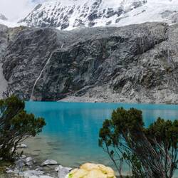 Chantals berühmtes Frischkäse-Ei-Avocado-Käse-Chips-Sandwich👌😂