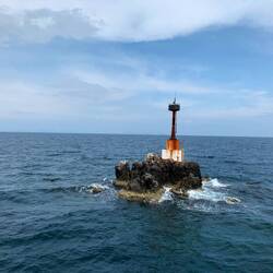 Shark-Point von Oben