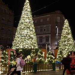 Weihnachten naht auch hier