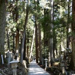 Okunion Cemetery.