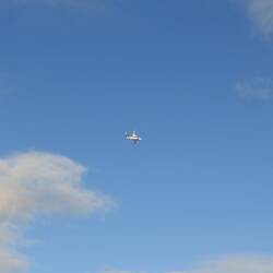 Morgen zur selben Zeit fliege ich hiermit zurück....