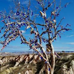 A tree full of blue eyes 🧿🧿🧿!