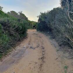 Enge Zufahrt zum Stellplatz für heute Nacht