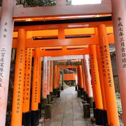 The torii gates at the Inari Shrine.