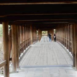 Tofukuji.