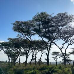 durch das Land der Massai