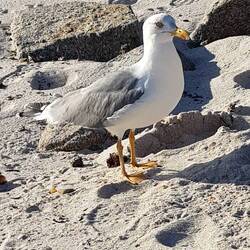 Menschenscheu ist anders...