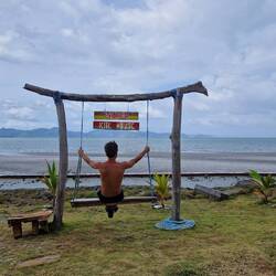 Good Bye Panama Kite House