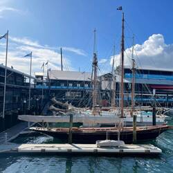 Hafen von Auckland