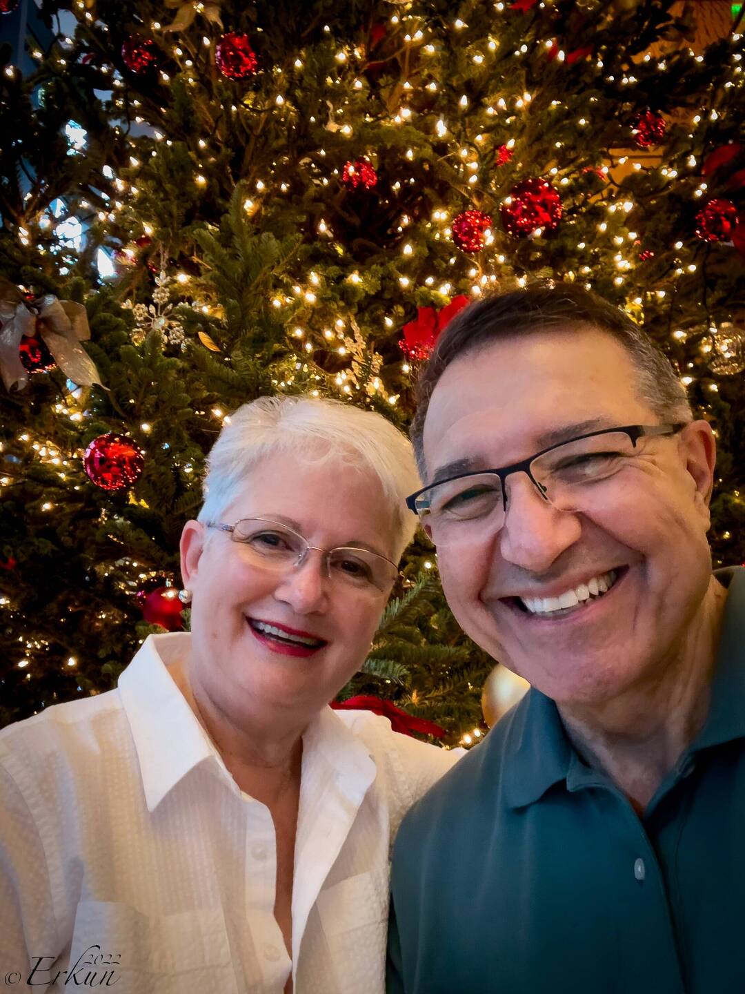 Holiday cheer at the Four Seasons — Miami, FL.