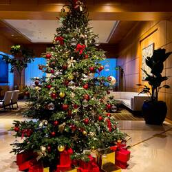 Christmas cheer ... 7th floor lobby at the Four Seasons — Miami, FL.