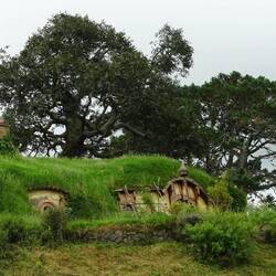 Das ist der kürzliche Baum
