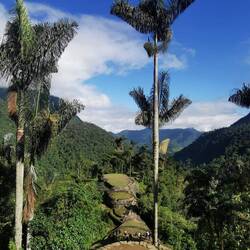 Ciudad perdida