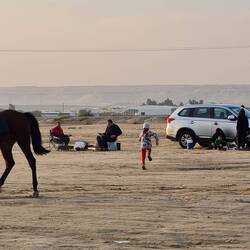 Between racing Pick-ups, 1 million dollar Arabic stallions galloping.