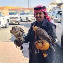 Falconers with their birds at the border to Kuwait. They were returning from a hunting trip