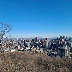 Blick vom Mount Royal