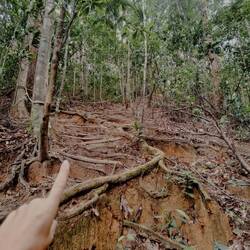 .. nurnoch 1,5 Kilometer