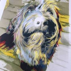 A little experminenting with photos and pencils