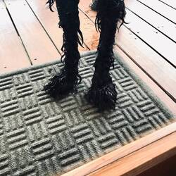 Someone's been in the pool 🤩