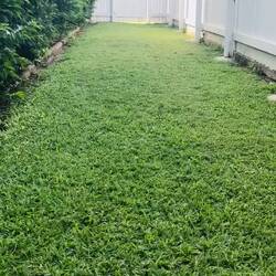 Geting plenty of serving practice