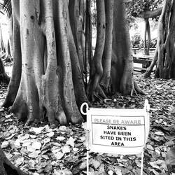 Just keep walking thanks