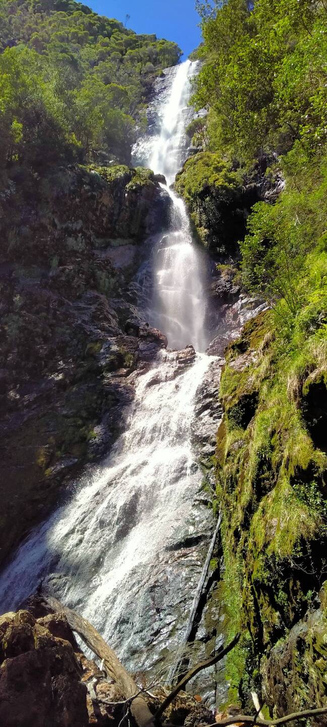 Awesome Montezuma Falls. Worth the walk.