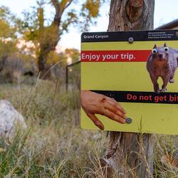 Beware of squirrels / Hüten Sie sich vor Eichhörnchen