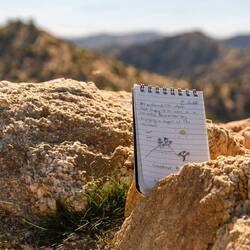 Eintrag im Gipfelbuch/ Summit record at Warren Peak