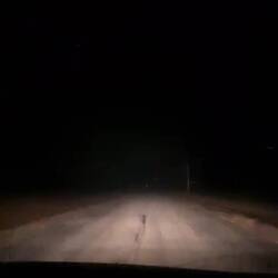 Shitty weather on country roads