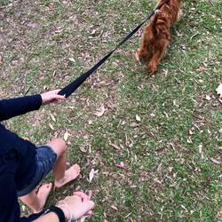 Mit Heidi und Bella im Park