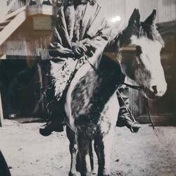 Le Cacique Mulato, chef du peuple Tehuelche fin XIXème siècle