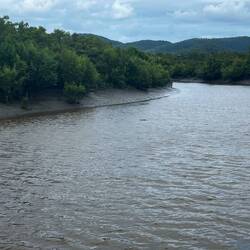 Wasserstand bei Ebbe plus das Krokodil (wer sieht es?)