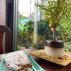 Christmas surprise 😋