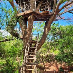 Casa de Tarzan