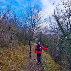 Wir umrunden fast komplett den Hammelsberg, oberhalb von Perl!