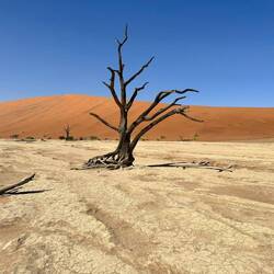 Getting toooooooo warm and dry...