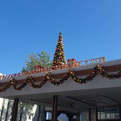 Und hier kommen meine Lieblingsresultate...