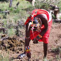 Ness trying to find a dung beetle
