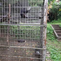 Es scheint ihnen zu gefallen