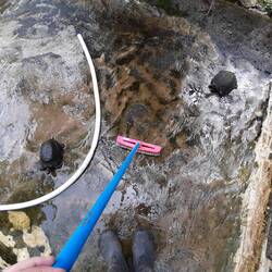 Schildkrötenteich schrubben