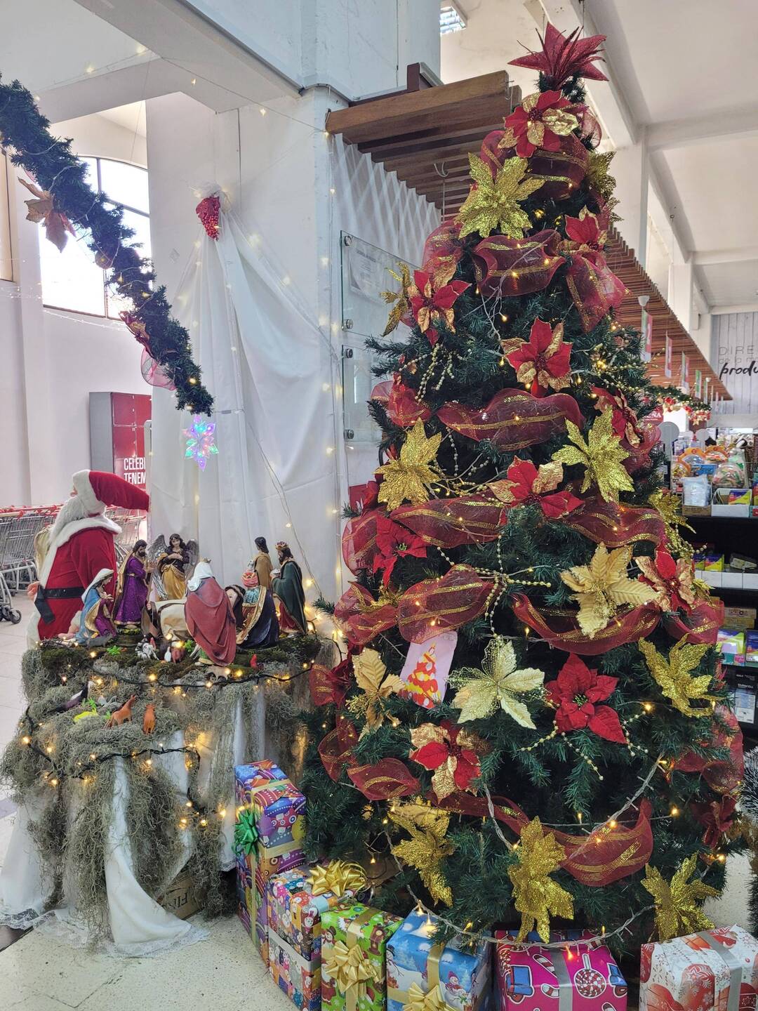 Feliz Navidad