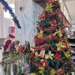 Feliz Navidad
